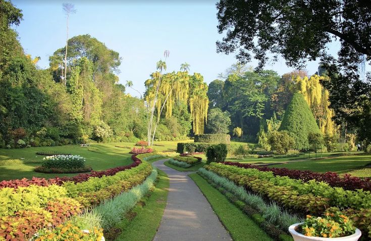 Royal Botanical Gardens, Peradeniya